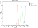 Flow Cytometry analysis of cells using anti-CEP55 antibody. Overlay histogram showing cells stained with (Blue line). To facilitate intracellular staining, cells were fixed with 4% paraformaldehyde and permeabilized with permeabilization buffer. The cells were blocked with 10% normal goat serum. And then incubated with rabbit anti-CEP55 antibody (1 ug/million cells) for 30 min at 20oC. DyLight 488 conjugated goat anti-rabbit IgG (5-10 ug/million cells) was used as secondary antibody for 30 minutes at 20oC. Isotype control antibody (Green line) was rabbit IgG (1 ug/million cells) used under the same conditions. Unlabelled sample without incubation with primary antibody and secondary antibody (Red line) was used as a blank control.