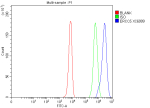 Flow Cytometry analysis of K562 cells using anti-ERCC5 antibody. Overlay histogram showing K562 cells stained with (Blue line). To facilitate intracellular staining, cells were fixed with 4% paraformaldehyde and permeabilized with permeabilization buffer. The cells were blocked with 10% normal goat serum. And then incubated with rabbit anti-ERCC5 antibody (1 ug/million cells) for 30 min at 20oC. DyLight 488 conjugated goat anti-rabbit IgG (5-10 ug/million cells) was used as secondary antibody for 30 minutes at 20oC. Isotype control antibody (Green line) was rabbit IgG (1 ug/million cells) used under the same conditions. Unlabelled sample without incubation with primary antibody and secondary antibody (Red line) was used as a blank control.