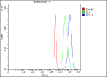 Flow Cytometry analysis of 293T cells using anti-SCLT1 antibody. Overlay histogram showing 293T cells stained with (Blue line). To facilitate intracellular staining, cells were fixed with 4% paraformaldehyde and permeabilized with permeabilization buffer. The cells were blocked with 10% normal goat serum. And then incubated with rabbit anti-SCLT1 antibody (1 ug/million cells) for 30 min at 20oC. DyLight 488 conjugated goat anti-rabbit IgG (5-10 ug/million cells) was used as secondary antibody for 30 minutes at 20oC. Isotype control antibody (Green line) was rabbit IgG (1 ug/million cells) used under the same conditions. Unlabelled sample (Red line) was also used as a control.