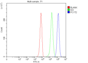 Flow Cytometry analysis of K562 cells using anti-PCYT2 antibody. Overlay histogram showing K562 cells stained with (Blue line). To facilitate intracellular staining, cells were fixed with 4% paraformaldehyde and permeabilized with permeabilization buffer. The cells were blocked with 10% normal goat serum. And then incubated with rabbit anti-PCYT2 antibody (1 ug/million cells) for 30 min at 20oC. DyLight 488 conjugated goat anti-rabbit IgG (5-10 ug/million cells) was used as secondary antibody for 30 minutes at 20oC. Isotype control antibody (Green line) was rabbit IgG (1 ug/million cells) used under the same conditions. Unlabelled sample without incubation with primary antibody and secondary antibody (Red line) was used as a blank control.