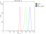 Flow Cytometry analysis of Jurkat cells using anti-REM2 antibody. Overlay histogram showing Jurkat cells stained with (Blue line). The cells were fixed with 4% paraformaldehyde and blocked with 10% normal goat serum. And then incubated with rabbit anti-REM2 antibody (1 ug/million cells) for 30 min at 20oC. DyLight 488 conjugated goat anti-rabbit IgG (5-10 ug/million cells) was used as secondary antibody for 30 minutes at 20oC. Isotype control antibody (Green line) was rabbit IgG (1 ug/million cells) used under the same conditions. Unlabelled sample without incubation with primary antibody and secondary antibody (Red line) was used as a blank control.