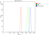 Flow Cytometry analysis of 293T cells using anti-STX5 antibody. Overlay histogram showing 293T cells stained with (Blue line). To facilitate intracellular staining, cells were fixed with 4% paraformaldehyde and permeabilized with permeabilization buffer. The cells were blocked with 10% normal goat serum. And then incubated with rabbit anti-STX5 antibody (1 ug/million cells) for 30 min at 20oC. DyLight 488 conjugated goat anti-rabbit IgG (5-10 ug/million cells) was used as secondary antibody for 30 minutes at 20oC. Isotype control antibody (Green line) was rabbit IgG (1 ug/million cells) used under the same conditions. Unlabelled sample without incubation with primary antibody and secondary antibody (Red line) was used as a blank control.