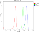 Flow Cytometry analysis of MOLT-4 cells using anti-OSBPL5 antibody. Overlay histogram showing MOLT-4 cells stained with (Blue line). To facilitate intracellular staining, cells were fixed with 4% paraformaldehyde and permeabilized with permeabilization buffer. The cells were blocked with 10% normal goat serum. And then incubated with rabbit anti-OSBPL5 antibody (1 ug/million cells) for 30 min at 20oC. DyLight 488 conjugated goat anti-rabbit IgG (5-10 ug/million cells) was used as secondary antibody for 30 minutes at 20oC. Isotype control antibody (Green line) was rabbit IgG (1 ug/million cells) used under the same conditions. Unlabelled sample without incubation with primary antibody and secondary antibody (Red line) was used as a blank control.