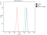 Flow Cytometry analysis of HEL cells using anti-PARP11 antibody. Overlay histogram showing HEL cells stained with (Blue line). To facilitate intracellular staining, cells were fixed with 4% paraformaldehyde and permeabilized with permeabilization buffer. The cells were blocked with 10% normal goat serum. And then incubated with rabbit anti-PARP11 antibody (1 ug/million cells) for 30 min at 20oC. DyLight 488 conjugated goat anti-rabbit IgG (5-10 ug/million cells) was used as secondary antibody for 30 minutes at 20oC. Isotype control antibody (Green line) was rabbit IgG (1 ug/million cells) used under the same conditions. Unlabelled sample without incubation with primary antibody and secondary antibody (Red line) was used as a blank control.