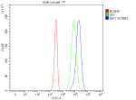 Flow Cytometry analysis of Jurkat cells using anti-SIK1 antibody. Overlay histogram showing Jurkat cells stained with (Blue line). To facilitate intracellular staining, cells were fixed with 4% paraformaldehyde and permeabilized with permeabilization buffer. The cells were blocked with 10% normal goat serum. And then incubated with rabbit anti-SIK1 antibody (1 ug/million cells) for 30 min at 20oC. DyLight 488 conjugated goat anti-rabbit IgG (5-10 ug/million cells) was used as secondary antibody for 30 minutes at 20oC. Isotype control antibody (Green line) was rabbit IgG (1 ug/million cells) used under the same conditions. Unlabelled sample without incubation with primary antibody and secondary antibody (Red line) was used as a blank control.