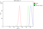 Flow Cytometry analysis of MCF-7 cells using anti-SUPT16H antibody. Overlay histogram showing MCF-7 cells stained with (Blue line). To facilitate intracellular staining, cells were fixed with 4% paraformaldehyde and permeabilized with permeabilization buffer. The cells were blocked with 10% normal goat serum. And then incubated with rabbit anti-SUPT16H antibody (1 ug/million cells) for 30 min at 20oC. DyLight 488 conjugated goat anti-rabbit IgG (5-10 ug/million cells) was used as secondary antibody for 30 minutes at 20oC. Isotype control antibody (Green line) was rabbit IgG (1 ug/million cells) used under the same conditions. Unlabelled sample without incubation with primary antibody and secondary antibody (Red line) was used as a blank control.