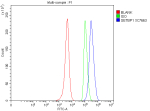 Flow Cytometry analysis of SH-SY5Y cells using anti-SETBP1 antibody. Overlay histogram showing SH-SY5Y cells stained with (Blue line). To facilitate intracellular staining, cells were fixed with 4% paraformaldehyde and permeabilized with permeabilization buffer. The cells were blocked with 10% normal goat serum. And then incubated with rabbit anti-SETBP1 antibody (1 ug/million cells) for 30 min at 20oC. DyLight 488 conjugated goat anti-rabbit IgG (5-10 ug/million cells) was used as secondary antibody for 30 minutes at 20oC. Isotype control antibody (Green line) was rabbit IgG (1 ug/million cells) used under the same conditions. Unlabelled sample without incubation with primary antibody and secondary antibody (Red line) was used as a blank control.