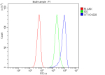 Flow Cytometry analysis of SiHa cells using anti-CIT antibody. Overlay histogram showing SiHa cells stained with (Blue line). To facilitate intracellular staining, cells were fixed with 4% paraformaldehyde and permeabilized with permeabilization buffer. The cells were blocked with 10% normal goat serum. And then incubated with rabbit anti-CIT antibody (1 ug/million cells) for 30 min at 20oC. DyLight 488 conjugated goat anti-rabbit IgG (5-10 ug/million cells) was used as secondary antibody for 30 minutes at 20oC. Isotype control antibody (Green line) was rabbit IgG (1 ug/million cells) used under the same conditions. Unlabelled sample without incubation with primary antibody and secondary antibody (Red line) was used as a blank control.