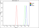 Flow Cytometry analysis of SH-SY5Y cells using anti-PDE8A antibody. Overlay histogram showing SH-SY5Y cells stained with (Blue line). To facilitate intracellular staining, cells were fixed with 4% paraformaldehyde and permeabilized with permeabilization buffer. The cells were blocked with 10% normal goat serum. And then incubated with rabbit anti-PDE8A antibody (1 ug/million cells) for 30 min at 20oC. DyLight 488 conjugated goat anti-rabbit IgG (5-10 ug/million cells) was used as secondary antibody for 30 minutes at 20oC. Isotype control antibody (Green line) was rabbit IgG (1 ug/million cells) used under the same conditions. Unlabelled sample (Red line) was also used as a control.