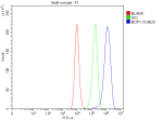 Flow Cytometry analysis of CACO-2 cells using anti-BOP1 antibody. Overlay histogram showing CACO-2 cells stained with (Blue line). To facilitate intracellular staining, cells were fixed with 4% paraformaldehyde and permeabilized with permeabilization buffer. The cells were blocked with 10% normal goat serum. And then incubated with rabbit anti-BOP1 antibody (1 ug/million cells) for 30 min at 20oC. DyLight 488 conjugated goat anti-rabbit IgG (5-10 ug/million cells) was used as secondary antibody for 30 minutes at 20oC. Isotype control antibody (Green line) was rabbit IgG (1 ug/million cells) used under the same conditions. Unlabelled sample without incubation with primary antibody and secondary antibody (Red line) was used as a blank control.