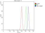 Flow Cytometry analysis of THP-1 cells using anti-TFEC antibody. Overlay histogram showing THP-1 cells stained with (Blue line). To facilitate intracellular staining, cells were fixed with 4% paraformaldehyde and permeabilized with permeabilization buffer. The cells were blocked with 10% normal goat serum. And then incubated with rabbit anti-TFEC antibody (1 ug/million cells) for 30 min at 20oC. DyLight 488 conjugated goat anti-rabbit IgG (5-10 ug/million cells) was used as secondary antibody for 30 minutes at 20oC. Isotype control antibody (Green line) was rabbit IgG (1 ug/million cells) used under the same conditions. Unlabelled sample without incubation with primary antibody and secondary antibody (Red line) was used as a blank control.