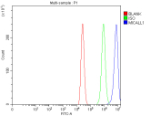 Flow cytometry analysis of fixed and permeabilized human MCF7 cells with MICALL1 antibody at 1ug/million cells (blocked with goat sera); Red=cells alone, Green=isotype control, Blue= MICALL1 antibody.