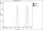 Flow Cytometry analysis of SH-SY5Y cells using anti-LMNTD1 antibody. Overlay histogram showing SH-SY5Y cells stained with (Blue line). To facilitate intracellular staining, cells were fixed with 4% paraformaldehyde and permeabilized with permeabilization buffer. The cells were blocked with 10% normal goat serum. And then incubated with rabbit anti-LMNTD1 antibody (1 ug/million cells) for 30 min at 20oC. DyLight 488 conjugated goat anti-rabbit IgG (5-10 ug/million cells) was used as secondary antibody for 30 minutes at 20oC. Isotype control antibody (Green line) was rabbit IgG (1 ug/million cells) used under the same conditions. Unlabelled sample (Red line) was also used as a control.