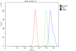 Flow Cytometry analysis of MCF-7 cells using anti-UBR5 antibody. Overlay histogram showing MCF-7 cells stained with (Blue line). To facilitate intracellular staining, cells were fixed with 4% paraformaldehyde and permeabilized with permeabilization buffer. The cells were blocked with 10% normal goat serum. And then incubated with rabbit anti-UBR5 antibody (1 ug/million cells) for 30 min at 20oC. DyLight 488 conjugated goat anti-rabbit IgG (5-10 ug/million cells) was used as secondary antibody for 30 minutes at 20oC. Isotype control antibody (Green line) was rabbit IgG (1 ug/million cells) used under the same conditions. Unlabelled sample without incubation with primary antibody and secondary antibody (Red line) was used as a blank control.