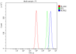 Flow Cytometry analysis of PC-3 cells using anti-NUP62 antibody. Overlay histogram showing PC-3 cells stained with (Blue line). To facilitate intracellular staining, cells were fixed with 4% paraformaldehyde and permeabilized with permeabilization buffer. The cells were blocked with 10% normal goat serum. And then incubated with rabbit anti-NUP62 antibody (1 ug/million cells) for 30 min at 20oC. DyLight 488 conjugated goat anti-rabbit IgG (5-10 ug/million cells) was used as secondary antibody for 30 minutes at 20oC. Isotype control antibody (Green line) was rabbit IgG (1 ug/million cells) used under the same conditions. Unlabelled sample (Red line) was also used as a control.