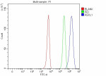 Flow Cytometry analysis of K562 cells using anti-ASCL1 antibody. Overlay histogram showing K562 cells stained with (Blue line). To facilitate intracellular staining, cells were fixed with 4% paraformaldehyde and permeabilized with permeabilization buffer. The cells were blocked with 10% normal goat serum. And then incubated with rabbit anti-ASCL1 antibody (1 ug/million cells) for 30 min at 20oC. DyLight 488 conjugated goat anti-rabbit IgG (5-10 ug/million cells) was used as secondary antibody for 30 minutes at 20oC. Isotype control antibody (Green line) was rabbit IgG (1 ug/million cells) used under the same conditions. Unlabelled sample without incubation with primary antibody and secondary antibody (Red line) was used as a blank control.