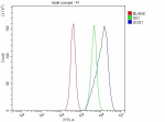 Flow Cytometry analysis of U87 cells using anti-SOS1 antibody. Overlay histogram showing U87 cells stained with (Blue line). The cells were fixed with 4% paraformaldehyde and blocked with 10% normal goat serum. And then incubated with rabbit anti-SOS1 antibody (1 ug/million cells) for 30 min at 20oC. DyLight 488 conjugated goat anti-rabbit IgG (5-10 ug/million cells) was used as secondary antibody for 30 minutes at 20oC. Isotype control antibody (Green line) was rabbit IgG (1 ug/million cells) used under the same conditions. Unlabelled sample without incubation with primary antibody and secondary antibody (Red line) was used as a blank control.