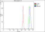 Flow Cytometry analysis of cells using anti-RBM12B antibody. Overlay histogram showing cells stained with (Blue line). To facilitate intracellular staining, cells were fixed with 4% paraformaldehyde and permeabilized with permeabilization buffer. The cells were blocked with 10% normal goat serum. And then incubated with rabbit anti-RBM12B antibody (1 ug/million cells) for 30 min at 20oC. DyLight 488 conjugated goat anti-rabbit IgG (5-10 ug/million cells) was used as secondary antibody for 30 minutes at 20oC. Isotype control antibody (Green line) was rabbit IgG (1 ug/million cells) used under the same conditions. Unlabelled sample (Red line) was also used as a control.