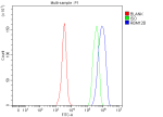 Flow Cytometry analysis of JK cells using anti-RBM12B antibody. Overlay histogram showing JK cells stained with (Blue line). To facilitate intracellular staining, cells were fixed with 4% paraformaldehyde and permeabilized with permeabilization buffer. The cells were blocked with 10% normal goat serum. And then incubated with rabbit anti-RBM12B antibody (1 ug/million cells) for 30 min at 20oC. DyLight 488 conjugated goat anti-rabbit IgG (5-10 ug/million cells) was used as secondary antibody for 30 minutes at 20oC. Isotype control antibody (Green line) was rabbit IgG (1 ug/million cells) used under the same conditions. Unlabelled sample (Red line) was also used as a control.