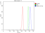 Flow Cytometry analysis of U251 cells using anti-PNKP antibody. Overlay histogram showing U251 cells stained with (Blue line). To facilitate intracellular staining, cells were fixed with 4% paraformaldehyde and permeabilized with permeabilization buffer. The cells were blocked with 10% normal goat serum. And then incubated with rabbit anti-PNKP antibody (1 ug/million cells) for 30 min at 20oC. DyLight 488 conjugated goat anti-rabbit IgG (5-10 ug/million cells) was used as secondary antibody for 30 minutes at 20oC. Isotype control antibody (Green line) was rabbit IgG (1 ug/million cells) used under the same conditions. Unlabelled sample without incubation with primary antibody and secondary antibody (Red line) was used as a blank control.