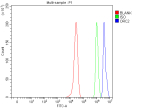 Flow Cytometry analysis of HepG2 cells using anti-ORC2 antibody. Overlay histogram showing HepG2 cells stained with (Blue line). To facilitate intracellular staining, cells were fixed with 4% paraformaldehyde and permeabilized with permeabilization buffer. The cells were blocked with 10% normal goat serum. And then incubated with rabbit anti-ORC2 antibody (1 ug/million cells) for 30 min at 20oC. DyLight 488 conjugated goat anti-rabbit IgG (5-10 ug/million cells) was used as secondary antibody for 30 minutes at 20oC. Isotype control antibody (Green line) was rabbit IgG (1 ug/million cells) used under the same conditions. Unlabelled sample (Red line) was also used as a control.