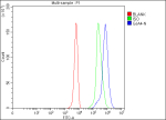 Flow Cytometry analysis of K562 cells using anti-GJA4 antibody. Overlay histogram showing K562 cells stained with (Blue line). The cells were fixed with 4% paraformaldehyde and blocked with 10% normal goat serum. And then incubated with rabbit anti-GJA4 antibody (1 ug/million cells) for 30 min at 20oC. DyLight 488 conjugated goat anti-rabbit IgG (5-10 ug/million cells) was used as secondary antibody for 30 minutes at 20oC. Isotype control antibody (Green line) was rabbit IgG (1 ug/million cells) used under the same conditions. Unlabelled sample (Red line) was also used as a control.