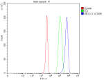 Flow Cytometry analysis of 293T cells using anti-RB1CC1 antibody. Overlay histogram showing 293T cells stained with (Blue line). To facilitate intracellular staining, cells were fixed with 4% paraformaldehyde and permeabilized with permeabilization buffer. The cells were blocked with 10% normal goat serum. And then incubated with rabbit anti-RB1CC1 antibody (1 ug/million cells) for 30 min at 20oC. DyLight 488 conjugated goat anti-rabbit IgG (5-10 ug/million cells) was used as secondary antibody for 30 minutes at 20oC. Isotype control antibody (Green line) was rabbit IgG (1 ug/million cells) used under the same conditions. Unlabelled sample without incubation with primary antibody and secondary antibody (Red line) was used as a blank control.