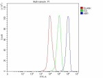Flow Cytometry analysis of 293T cells using anti-ABR antibody. Overlay histogram showing 293T cells stained with (Blue line). To facilitate intracellular staining, cells were fixed with 4% paraformaldehyde and permeabilized with permeabilization buffer. The cells were blocked with 10% normal goat serum. And then incubated with rabbit anti-ABR antibody (1 ug/million cells) for 30 min at 20oC. DyLight 488 conjugated goat anti-rabbit IgG (5-10 ug/million cells) was used as secondary antibody for 30 minutes at 20oC. Isotype control antibody (Green line) was rabbit IgG (1 ug/million cells) used under the same conditions. Unlabelled sample without incubation with primary antibody and secondary antibody (Red line) was used as a blank control.
