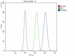 Flow Cytometry analysis of cells using anti-PDLIM4 antibody. Overlay histogram showing cells stained with (Blue line). To facilitate intracellular staining, cells were fixed with 4% paraformaldehyde and permeabilized with permeabilization buffer. The cells were blocked with 10% normal goat serum. And then incubated with rabbit anti-PDLIM4 antibody (1 ug/million cells) for 30 min at 20oC. DyLight 488 conjugated goat anti-rabbit IgG (5-10 ug/million cells) was used as secondary antibody for 30 minutes at 20oC. Isotype control antibody (Green line) was rabbit IgG (1 ug/million cells) used under the same conditions. Unlabelled sample without incubation with primary antibody and secondary antibody (Red line) was used as a blank control.