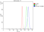Flow Cytometry analysis of RT4 cells using anti-SPATA21 antibody. Overlay histogram showing RT4 cells stained with (Blue line). To facilitate intracellular staining, cells were fixed with 4% paraformaldehyde and permeabilized with permeabilization buffer. The cells were blocked with 10% normal goat serum. And then incubated with rabbit anti-SPATA21 antibody (1 ug/million cells) for 30 min at 20oC. DyLight 488 conjugated goat anti-rabbit IgG (5-10 ug/million cells) was used as secondary antibody for 30 minutes at 20oC. Isotype control antibody (Green line) was rabbit IgG (1 ug/million cells) used under the same conditions. Unlabelled sample without incubation with primary antibody and secondary antibody (Red line) was used as a blank control.