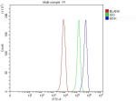 Flow Cytometry analysis of HepG2 cells using anti-MVK antibody. Overlay histogram showing HepG2 cells stained with (Blue line). To facilitate intracellular staining, cells were fixed with 4% paraformaldehyde and permeabilized with permeabilization buffer. The cells were blocked with 10% normal goat serum. And then incubated with rabbit anti-MVK antibody (1 ug/million cells) for 30 min at 20oC. DyLight 488 conjugated goat anti-rabbit IgG (5-10 ug/million cells) was used as secondary antibody for 30 minutes at 20oC. Isotype control antibody (Green line) was rabbit IgG (1 ug/million cells) used under the same conditions. Unlabelled sample without incubation with primary antibody and secondary antibody (Red line) was used as a blank control.