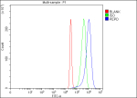 Flow Cytometry analysis of 293T cells using anti-PEPD antibody. Overlay histogram showing 293T cells stained with (Blue line). The cells were fixed with 4% paraformaldehyde and blocked with 10% normal goat serum. And then incubated with rabbit anti-PEPD antibody (1 ug/million cells) for 30 min at 20oC. DyLight 488 conjugated goat anti-rabbit IgG (5-10 ug/million cells) was used as secondary antibody for 30 minutes at 20oC. Isotype control antibody (Green line) was rabbit IgG (1 ug/million cells) used under the same conditions. Unlabelled sample (Red line) was also used as a control.