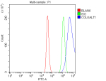 Flow Cytometry analysis of HEL cells using anti-COLGALT1 antibody. Overlay histogram showing HEL cells stained with (Blue line). To facilitate intracellular staining, cells were fixed with 4% paraformaldehyde and permeabilized with permeabilization buffer. The cells were blocked with 10% normal goat serum. And then incubated with rabbit anti-COLGALT1 antibody (1 ug/million cells) for 30 min at 20oC. DyLight 488 conjugated goat anti-rabbit IgG (5-10 ug/million cells) was used as secondary antibody for 30 minutes at 20oC. Isotype control antibody (Green line) was rabbit IgG (1 ug/million cells) used under the same conditions. Unlabelled sample (Red line) was also used as a control.