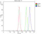Flow Cytometry analysis of SH-SY5Y cells using anti-STRIP1 antibody. Overlay histogram showing SH-SY5Y cells stained with (Blue line). To facilitate intracellular staining, cells were fixed with 4% paraformaldehyde and permeabilized with permeabilization buffer. The cells were blocked with 10% normal goat serum. And then incubated with rabbit anti-STRIP1 antibody (1 ug/million cells) for 30 min at 20oC. DyLight 488 conjugated goat anti-rabbit IgG (5-10 ug/million cells) was used as secondary antibody for 30 minutes at 20oC. Isotype control antibody (Green line) was rabbit IgG (1 ug/million cells) used under the same conditions. Unlabelled sample without incubation with primary antibody and secondary antibody (Red line) was used as a blank control.