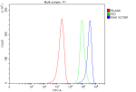Flow Cytometry analysis of MCF-7 cells using anti-RAI1 antibody. Overlay histogram showing MCF-7 cells stained with (Blue line). To facilitate intracellular staining, cells were fixed with 4% paraformaldehyde and permeabilized with permeabilization buffer. The cells were blocked with 10% normal goat serum. And then incubated with rabbit anti-RAI1 antibody (1 ug/million cells) for 30 min at 20oC. DyLight 488 conjugated goat anti-rabbit IgG (5-10 ug/million cells) was used as secondary antibody for 30 minutes at 20oC. Isotype control antibody (Green line) was rabbit IgG (1 ug/million cells) used under the same conditions. Unlabelled sample without incubation with primary antibody and secondary antibody (Red line) was used as a blank control.
