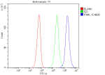 Flow Cytometry analysis of SiHa cells using anti-IFI44L antibody. Overlay histogram showing SiHa cells stained with (Blue line). To facilitate intracellular staining, cells were fixed with 4% paraformaldehyde and permeabilized with permeabilization buffer. The cells were blocked with 10% normal goat serum. And then incubated with rabbit anti-IFI44L antibody (1 ug/million cells) for 30 min at 20oC. DyLight 488 conjugated goat anti-rabbit IgG (5-10 ug/million cells) was used as secondary antibody for 30 minutes at 20oC. Isotype control antibody (Green line) was rabbit IgG (1 ug/million cells) used under the same conditions. Unlabelled sample without incubation with primary antibody and secondary antibody (Red line) was used as a blank control.
