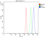 Flow cytometry analysis of fixed and permeabilized human MCF7 cells with SASS6 antibody at 1ug/million cells (blocked with goat sera); Red=cells alone, Green=isotype control, Blue= SASS6 antibody.