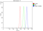 Flow Cytometry analysis of K562 cells using anti-TENM1 antibody. Overlay histogram showing K562 cells stained with (Blue line). The cells were fixed with 4% paraformaldehyde and blocked with 10% normal goat serum. And then incubated with rabbit anti-TENM1 antibody (1 ug/million cells) for 30 min at 20oC. DyLight 488 conjugated goat anti-rabbit IgG (5-10 ug/million cells) was used as secondary antibody for 30 minutes at 20oC. Isotype control antibody (Green line) was rabbit IgG (1 ug/million cells) used under the same conditions. Unlabelled sample without incubation with primary antibody and secondary antibody (Red line) was used as a blank control.
