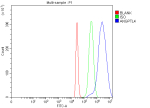 Flow Cytometry analysis of 293T cells using anti-ANGPTL4 antibody. Overlay histogram showing 293T cells stained with (Blue line). The cells were fixed with 4% paraformaldehyde and blocked with 10% normal goat serum. And then incubated with rabbit anti-ANGPTL4 antibody (1 ug/million cells) for 30 min at 20oC. DyLight 488 conjugated goat anti-rabbit IgG (5-10 ug/million cells) was used as secondary antibody for 30 minutes at 20oC. Isotype control antibody (Green line) was rabbit IgG (1 ug/million cells) used under the same conditions. Unlabelled sample (Red line) was also used as a control.