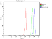 Flow Cytometry analysis of human U-251 cells using anti-QKI antibody. Overlay histogram showing Neuro-2a cells stained with (Blue line). To facilitate intracellular staining, cells were fixed with 4% paraformaldehyde and permeabilized with permeabilization buffer. The cells were blocked with 10% normal goat serum. And then incubated with rabbit anti-QKI antibody (1 ug/million cells) for 30 min at 20oC. DyLight 488 conjugated goat anti-rabbit IgG (5-10 ug/million cells) was used as secondary antibody for 30 minutes at 20oC. Isotype control antibody (Green line) was rabbit IgG (1 ug/million cells) used under the same conditions. Unlabelled sample without incubation with primary antibody and secondary antibody (Red line) was used as a blank control.