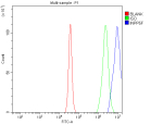 Flow Cytometry analysis of Daudi cells using anti-INPP5F antibody. Overlay histogram showing Daudi cells stained with (Blue line). The cells were fixed with 4% paraformaldehyde and blocked with 10% normal goat serum. And then incubated with rabbit anti-INPP5F antibody (1 ug/million cells) for 30 min at 20oC. DyLight 488 conjugated goat anti-rabbit IgG (5-10 ug/million cells) was used as secondary antibody for 30 minutes at 20oC. Isotype control antibody (Green line) was rabbit IgG (1 ug/million cells) used under the same conditions. Unlabelled sample (Red line) was also used as a control.