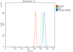 Flow Cytometry analysis of U2OS cells using anti-TENM2 antibody. Overlay histogram showing U2OS cells stained with (Blue line). The cells were fixed with 4% paraformaldehyde and blocked with 10% normal goat serum. And then incubated with rabbit anti-TENM2 antibody (1 ug/million cells) for 30 min at 20oC. DyLight 488 conjugated goat anti-rabbit IgG (5-10 ug/million cells) was used as secondary antibody for 30 minutes at 20oC. Isotype control antibody (Green line) was rabbit IgG (1 ug/million cells) used under the same conditions. Unlabelled sample without incubation with primary antibody and secondary antibody (Red line) was used as a blank control.