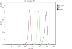 Flow Cytometry analysis of MCF-7 cells using anti-EGR2 antibody. Overlay histogram showing MCF-7 cells stained with (Blue line). To facilitate intracellular staining, cells were fixed with 4% paraformaldehyde and permeabilized with permeabilization buffer. The cells were blocked with 10% normal goat serum. And then incubated with rabbit anti-EGR2 antibody (1 ug/million cells) for 30 min at 20oC. DyLight 488 conjugated goat anti-rabbit IgG (5-10 ug/million cells) was used as secondary antibody for 30 minutes at 20oC. Isotype control antibody (Green line) was rabbit IgG (1 ug/million cells) used under the same conditions. Unlabelled sample without incubation with primary antibody and secondary antibody (Red line) was used as a blank control.
