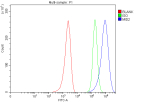 Flow Cytometry analysis of MCF-7 cells using anti-MID2 antibody. Overlay histogram showing MCF-7 cells stained with (Blue line). To facilitate intracellular staining, cells were fixed with 4% paraformaldehyde and permeabilized with permeabilization buffer. The cells were blocked with 10% normal goat serum. And then incubated with rabbit anti-MID2 antibody (1 ug/million cells) for 30 min at 20oC. DyLight 488 conjugated goat anti-rabbit IgG (5-10 ug/million cells) was used as secondary antibody for 30 minutes at 20oC. Isotype control antibody (Green line) was rabbit IgG (1 ug/million cells) used under the same conditions. Unlabelled sample without incubation with primary antibody and secondary antibody (Red line) was used as a blank control.