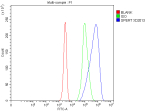 Flow Cytometry analysis of Jurkat cells using anti-CBY2 antibody. Overlay histogram showing Jurkat cells stained with (Blue line). To facilitate intracellular staining, cells were fixed with 4% paraformaldehyde and permeabilized with permeabilization buffer. The cells were blocked with 10% normal goat serum. And then incubated with rabbit anti-CBY2 antibody (1 ug/million cells) for 30 min at 20oC. DyLight 488 conjugated goat anti-rabbit IgG (5-10 ug/million cells) was used as secondary antibody for 30 minutes at 20oC. Isotype control antibody (Green line) was rabbit IgG (1 ug/million cells) used under the same conditions. Unlabelled sample without incubation with primary antibody and secondary antibody (Red line) was used as a blank control.