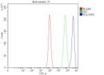 Flow Cytometry analysis of K562 cells using anti-PGLYRP2 antibody. Overlay histogram showing K562 cells stained with (Blue line). The cells were fixed with 4% paraformaldehyde and blocked with 10% normal goat serum. And then incubated with rabbit anti-PGLYRP2 antibody (1 ug/million cells) for 30 min at 20oC. DyLight 488 conjugated goat anti-rabbit IgG (5-10 ug/million cells) was used as secondary antibody for 30 minutes at 20oC. Isotype control antibody (Green line) was rabbit IgG (1 ug/million cells) used under the same conditions. Unlabelled sample (Red line) was also used as a control.