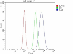 Flow Cytometry analysis of cells using anti-DVL2 antibody. Overlay histogram showing cells stained with (Blue line). To facilitate intracellular staining, cells were fixed with 4% paraformaldehyde and permeabilized with permeabilization buffer. The cells were blocked with 10% normal goat serum. And then incubated with rabbit anti-DVL2 antibody (1 ug/million cells) for 30 min at 20oC. DyLight 488 conjugated goat anti-rabbit IgG (5-10 ug/million cells) was used as secondary antibody for 30 minutes at 20oC. Isotype control antibody (Green line) was rabbit IgG (1 ug/million cells) used under the same conditions. Unlabelled sample without incubation with primary antibody and secondary antibody (Red line) was used as a blank control.