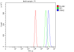 Flow Cytometry analysis of HEL cells using anti-GNAI2 antibody. Overlay histogram showing HEL cells stained with (Blue line). To facilitate intracellular staining, cells were fixed with 4% paraformaldehyde and permeabilized with permeabilization buffer. The cells were blocked with 10% normal goat serum. And then incubated with rabbit anti-GNAI2 antibody (1 ug/million cells) for 30 min at 20oC. DyLight 488 conjugated goat anti-rabbit IgG (5-10 ug/million cells) was used as secondary antibody for 30 minutes at 20oC. Isotype control antibody (Green line) was rabbit IgG (1 ug/million cells) used under the same conditions. Unlabelled sample (Red line) was also used as a control.