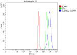 Flow Cytometry analysis of RT4 cells using anti-SULT1C2 antibody. Overlay histogram showing RT4 cells stained with (Blue line). To facilitate intracellular staining, cells were fixed with 4% paraformaldehyde and permeabilized with permeabilization buffer. The cells were blocked with 10% normal goat serum. And then incubated with rabbit anti-SULT1C2 antibody (1 ug/million cells) for 30 min at 20oC. DyLight 488 conjugated goat anti-rabbit IgG (5-10 ug/million cells) was used as secondary antibody for 30 minutes at 20oC. Isotype control antibody (Green line) was rabbit IgG (1 ug/million cells) used under the same conditions. Unlabelled sample without incubation with primary antibody and secondary antibody (Red line) was used as a blank control.