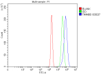 Flow Cytometry analysis of RT4 cells using anti-TIMM8B antibody. Overlay histogram showing RT4 cells stained with (Blue line). To facilitate intracellular staining, cells were fixed with 4% paraformaldehyde and permeabilized with permeabilization buffer. The cells were blocked with 10% normal goat serum. And then incubated with rabbit anti-TIMM8B antibody (1 ug/million cells) for 30 min at 20oC. DyLight 488 conjugated goat anti-rabbit IgG (5-10 ug/million cells) was used as secondary antibody for 30 minutes at 20oC. Isotype control antibody (Green line) was rabbit IgG (1 ug/million cells) used under the same conditions. Unlabelled sample without incubation with primary antibody and secondary antibody (Red line) was used as a blank control.